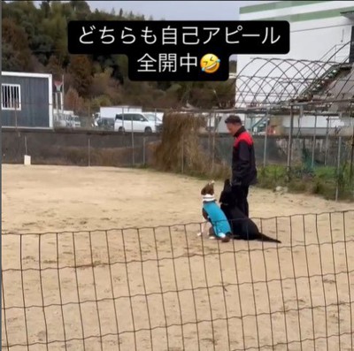 訓練中に乱入するポリくん6