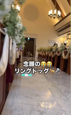 リングドッグに挑戦するジャックくん