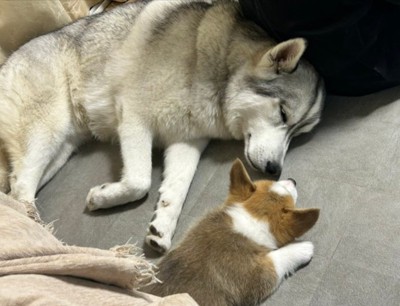 微笑ましすぎる