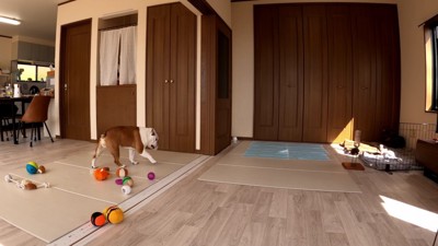 気負わなさに感嘆