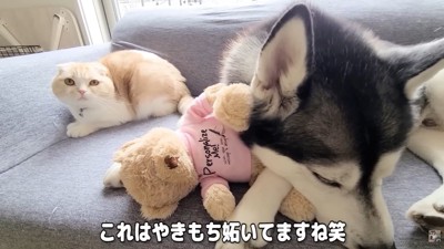 「ねえ、それ僕じゃないよ?」