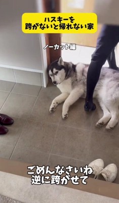 最高のトラップ!