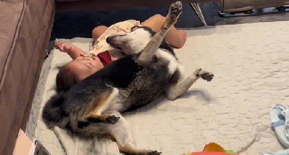 「簡単でしょ？」