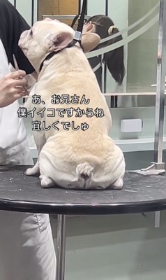 たまらない後ろ姿