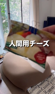 人間用チーズの袋