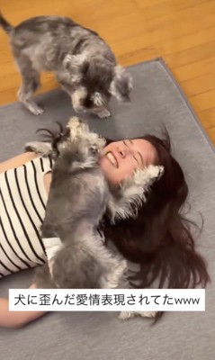 ココちゃん「どした！？」