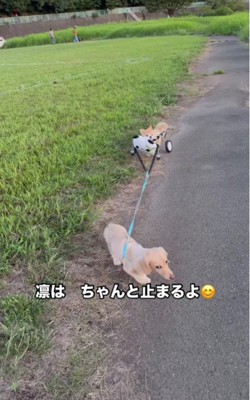 「ここは止まろう！」