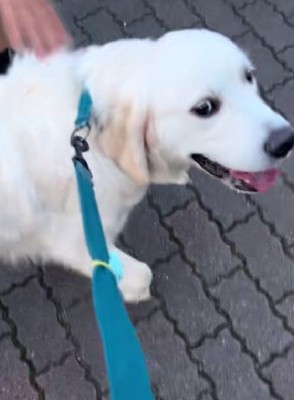 「ナンパ成功だわ」