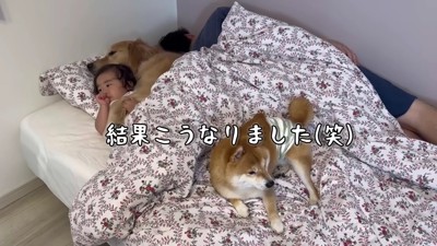 うにくんも来た