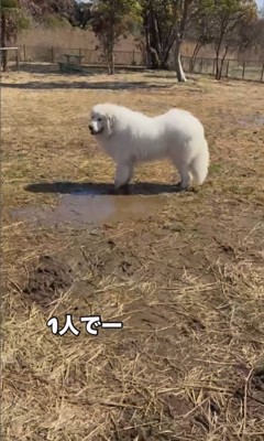 オフ会でのダンボくんたちの様子2