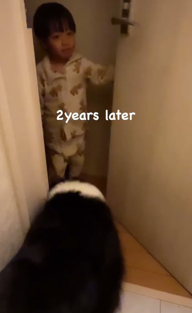 トイレを出入りするボーダーコリーと幼い男の子