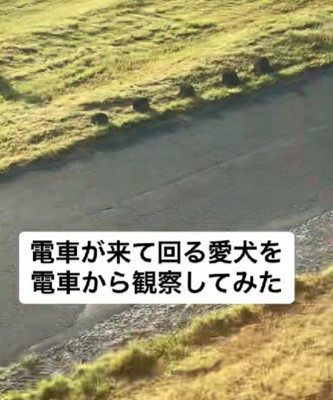 叫びたくなったとのこと♪