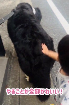 お尻を触る男の子