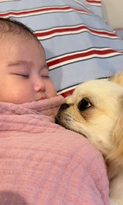 まだ赤ちゃんを見ていたいようです♡