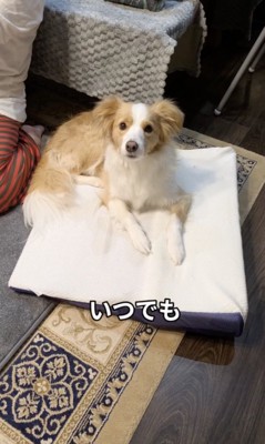 ひとりが好きでした