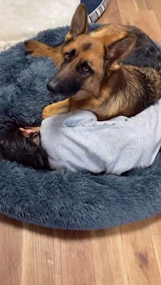 寝ている時もそばに♪