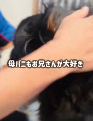 あざちゃんも大喜び