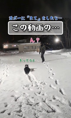 ピタッと停止！