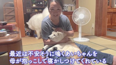 お母さんの抱っこでリラックス