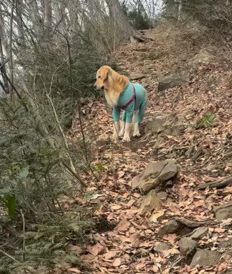 ルッツくんが見ていたのは…