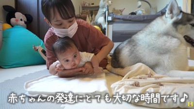 うつ伏せの練習をする赤ちゃん