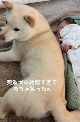 赤ちゃんに寄り添うカナちゃん