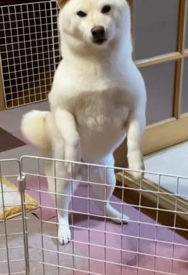 気持ちが爆発!!