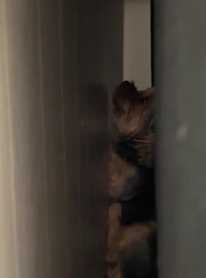 思わずホッコリ