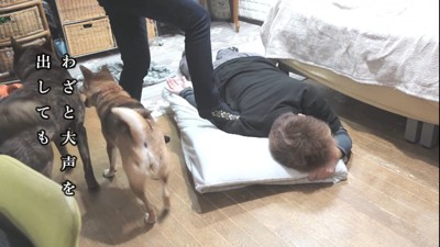 演技だと気づき、立ち去る2匹