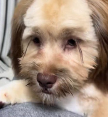 仕上がった姿とは…？