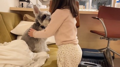 同居犬・トトちゃんにもポンポン…