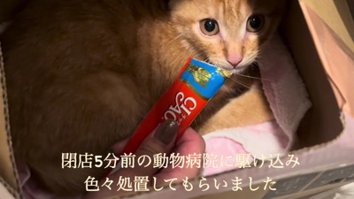 ガリガリで汚れていた