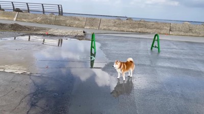 大きな水たまりが!!