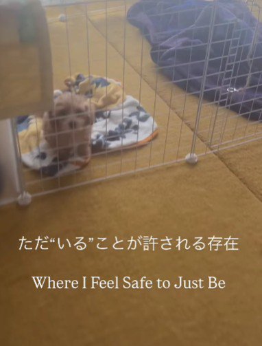 健気に生きるラテちゃんの姿に…