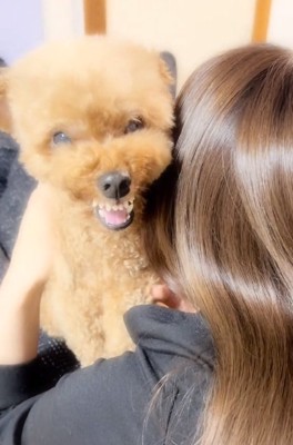 ドアップのふうたくん