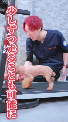 徐々に走れるように!