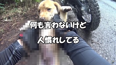 お腹はブツブツに…