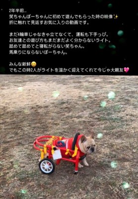 車椅子のライトくんとお友達6