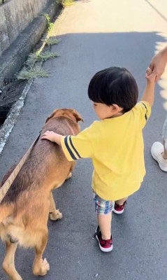 男の子を守る咲太郎くん7