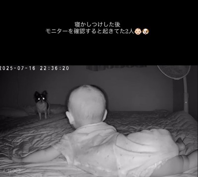 夜に起きて遊ぶ二人