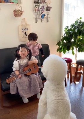 演奏を聴く大型犬