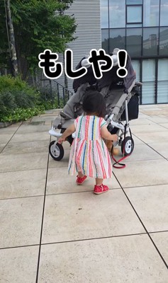 むぎちゃんと女の子2人のお散歩4