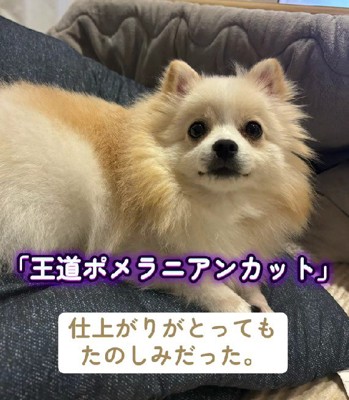 ワクワクしながらお迎え