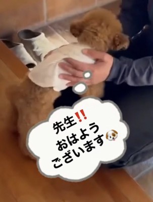 先生に挨拶
