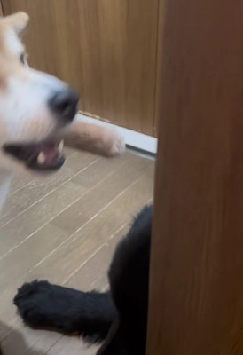 閉じ込めるために一致団結！？