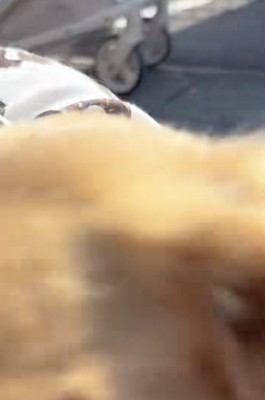 カメラにドンッ