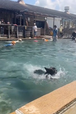 戻ってきたぶん太くん