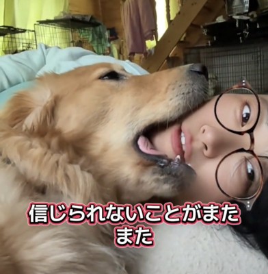 女性の顎を噛む犬