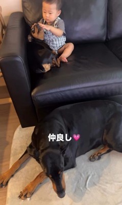 ビトくんと赤ちゃん3