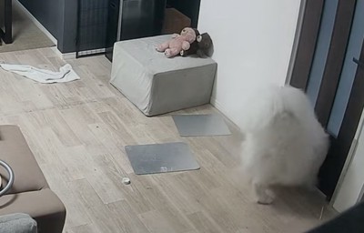 ドアを通り抜けるセブンちゃん